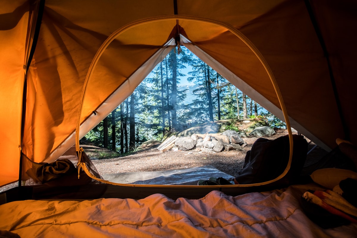 The view out from inside a tent toward an unfamiliar misty forest in the morning