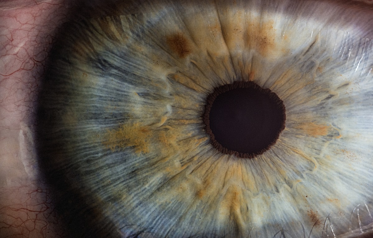 Extreme macro close-up of a human eye's iris reflecting soft light